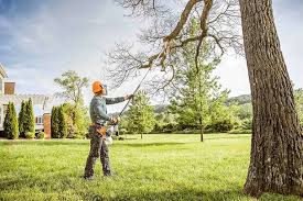 How Our Tree Care Process Works  in  Huguley, AL