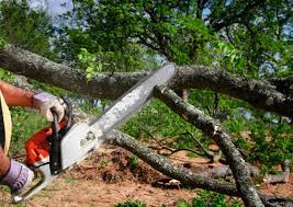 Best Stump Grinding and Removal  in Huguley, AL